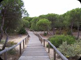 Hiszpania - wybrzeże Costa de la Luz