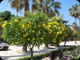Hiszpania - wybrzeże Costa de la Luz