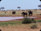 Tsavo East National Park