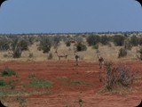 Tsavo East National Park