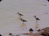 Tsavo East National Park