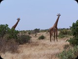 Tsavo East National Park