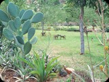 Kenia - luty