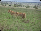 Tsavo East National Park 