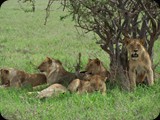 Tsavo East National Park 