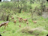 Tsavo East National Park 