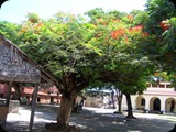 KENIA LISTOPAD