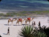 KENIA LISTOPAD