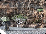 Jaskinia Jameos del Aqua – system jaskiń pochodzenia wulkanicznego. Część jaskiń została zagospodarowana według projektu Cesara Manrique.