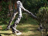 MADAGASKAR