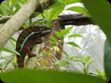 MADAGASKAR