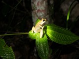 MADAGASKAR