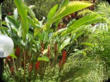 MADAGASKAR