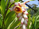MADAGASKAR