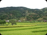MADAGASKAR