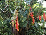 MADAGASKAR