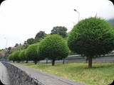 Madera - Wyspa Wiecznej Wiosny