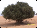 Maroko