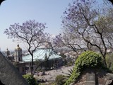 Przy Sanktuarium Matki Bożej z Guadalupe
