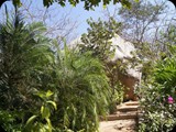 W Ogrodzie Botanicznym w Acapulco ...