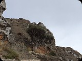 Oman