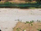 Oman