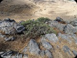 Oman4
