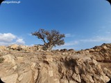 Oman
