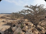 Oman