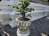 Tajlandia
