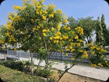 Tajlandia