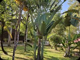 Tajlandia