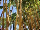 Tajlandia