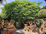 Tajlandia