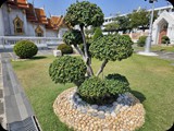 Tajlandia