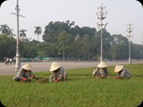 Wietnam