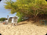 Boa Vista