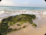 Boa Vista