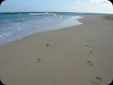Sal - turystycznie najbardziej rozwinięta, może poszczycić się nieskończenie długimi plażami i krystalicznie czystą wodą.