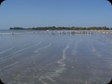 Gambia i Senegal