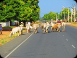 Gambia i Senegal