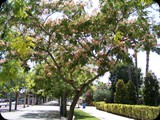 Hiszpania - Costa Brava