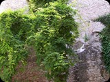 Hiszpania - Costa Brava