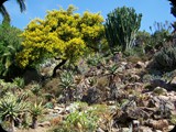 Hiszpania - Costa Brava