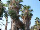 Hiszpania - Costa Brava