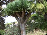 Hiszpania - Costa Brava