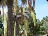 Hiszpania - Costa Brava