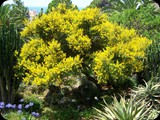 Hiszpania - Costa Brava