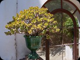 Hiszpania - Costa Brava