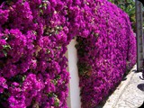 Hiszpania - Costa Brava